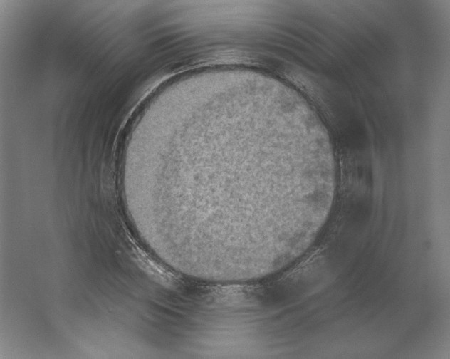 X0000062130828200512301459