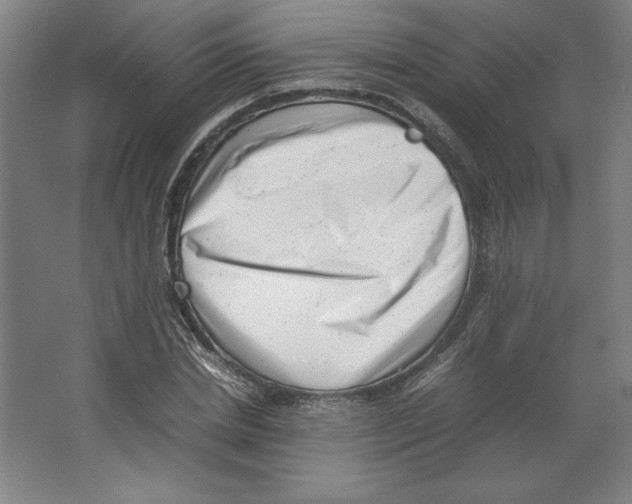 X0000062130830200512301459