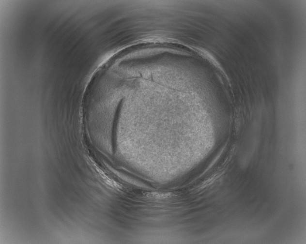 X0000062130831200512301459