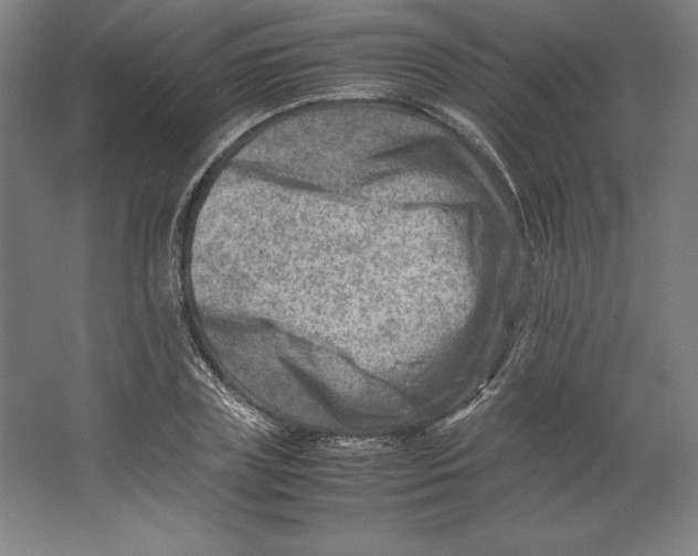 X0000062130835200512301459