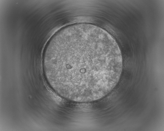 X0000062130836200512301459