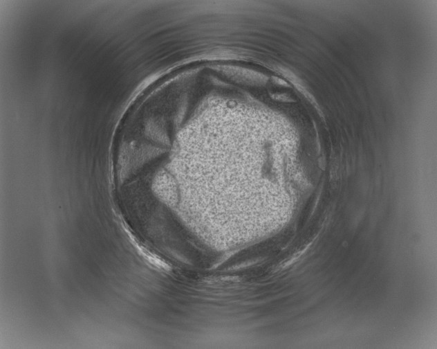 X0000062130837200512301459