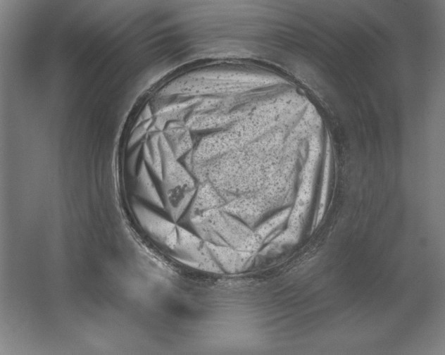 X0000062130840200512301459