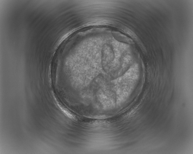 X0000062130842200512301459