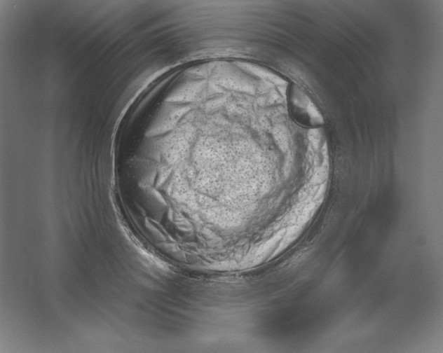 X0000062130844200512301459