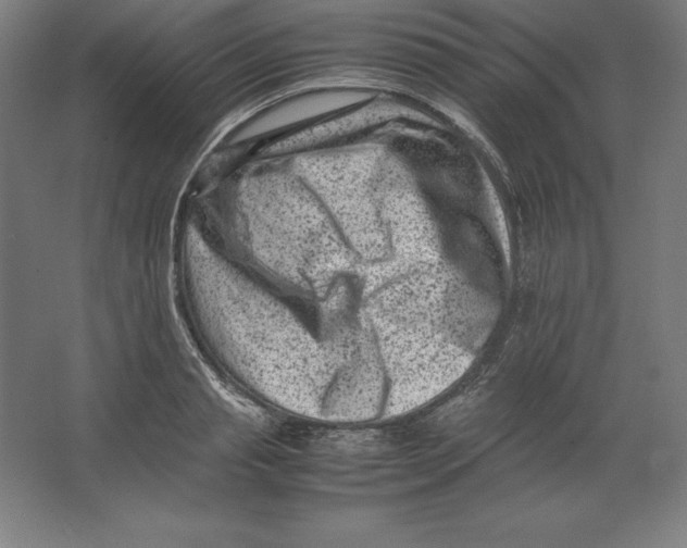 X0000062130845200512301459