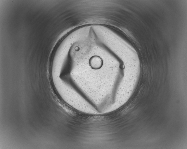 X0000062130846200512301459