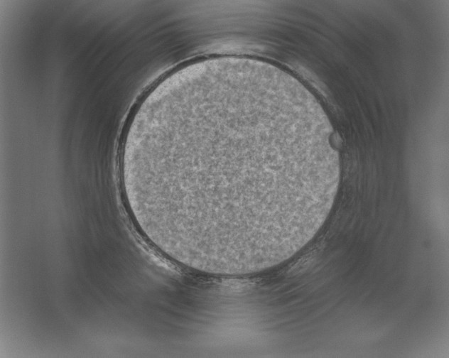 X0000062130848200512301459