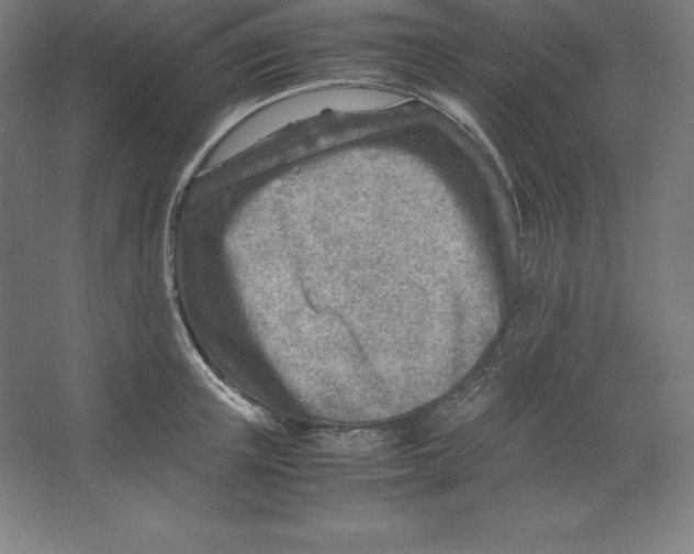 X0000062130851200512301459