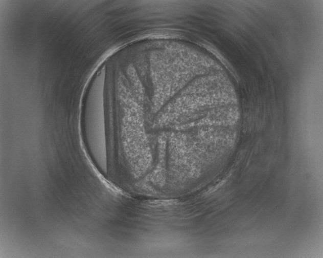 X0000062130853200512301459