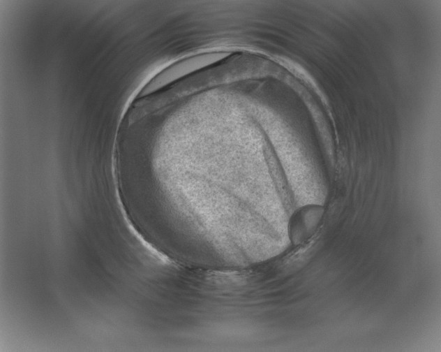 X0000062130855200512301459