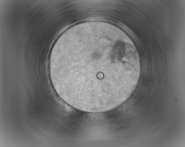 X0000062130856200512301459