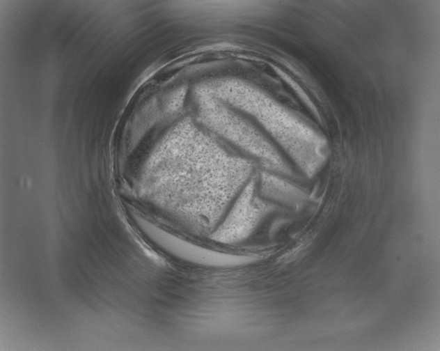 X0000062130858200512301459