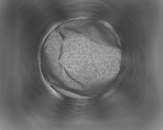 X0000062130859200512301459