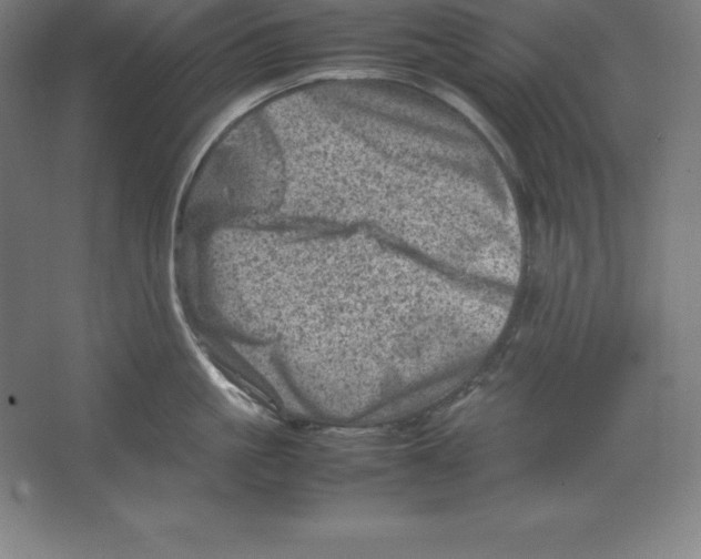 X0000062130861200512301459