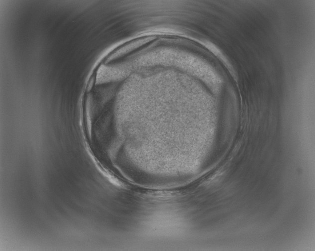 X0000062130862200512301459