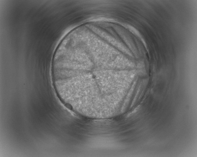 X0000062130863200512301459