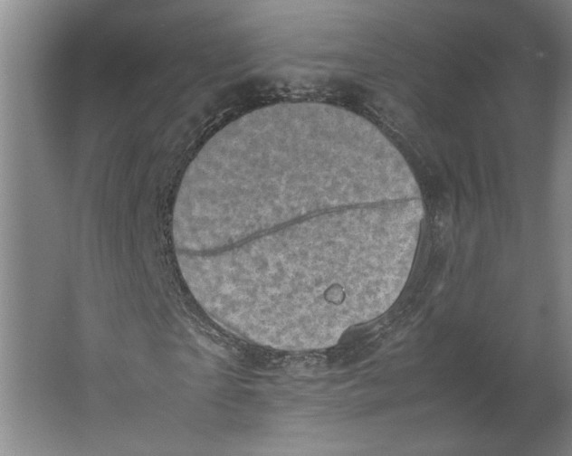 X0000062130865200512301459