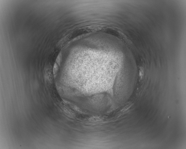 X0000062130867200512301459