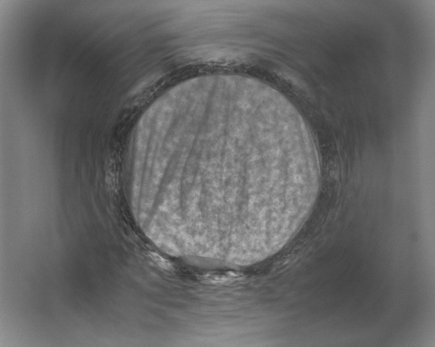 X0000062130869200512301459