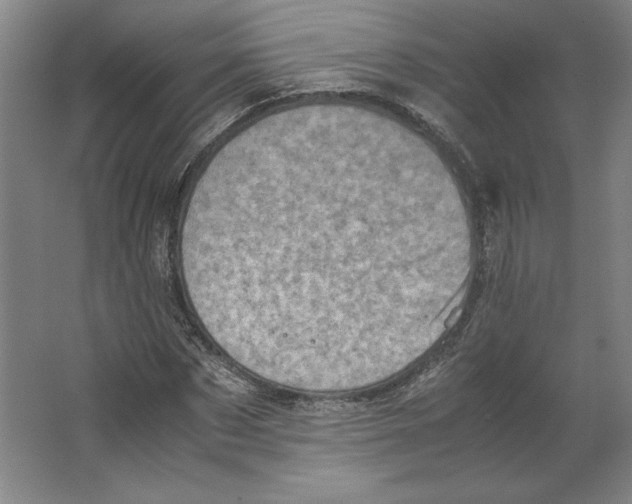 X0000062130873200512301459