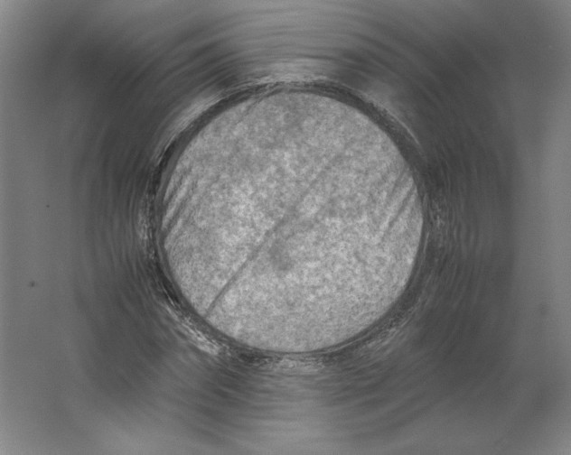 X0000062130874200512301459