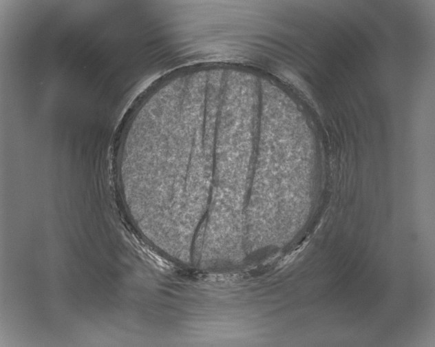 X0000062130875200512301459