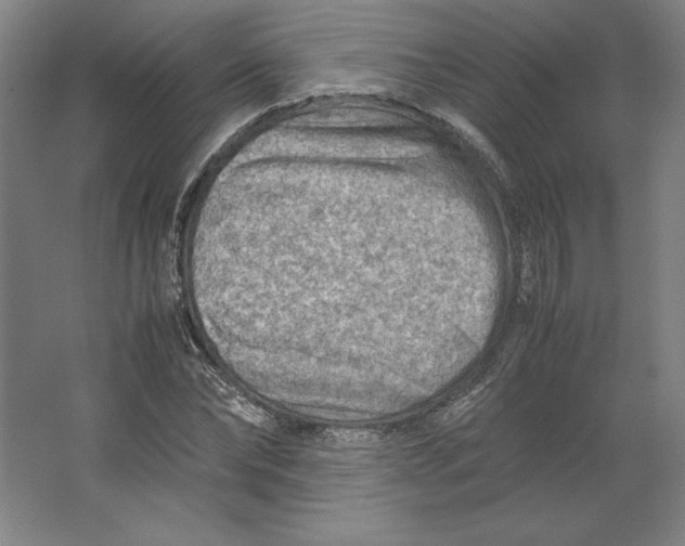 X0000062130878200512301458