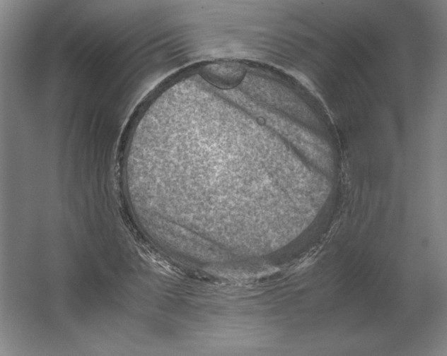 X0000062130879200512301458