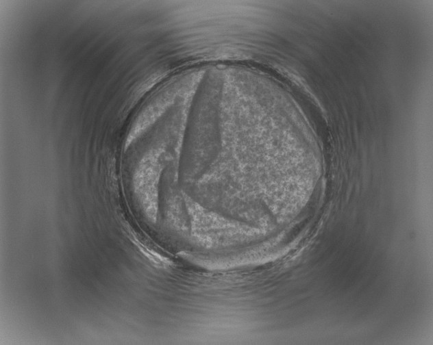 X0000062130881200512301458