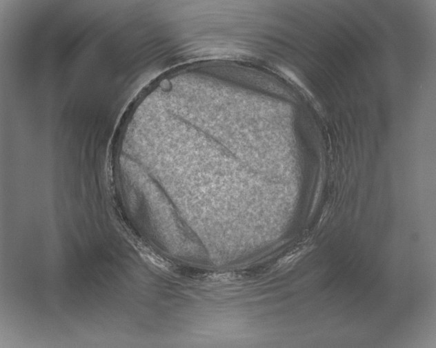 X0000062130883200512301458