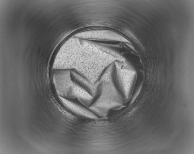 X0000062130884200512301458