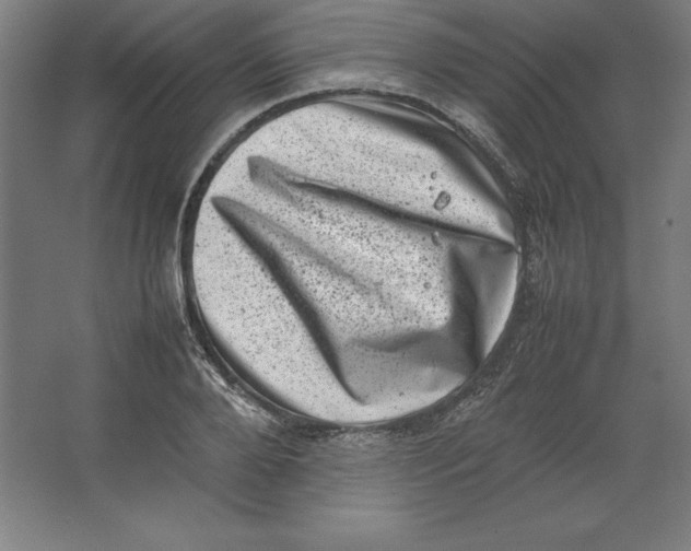 X0000062130888200512301458