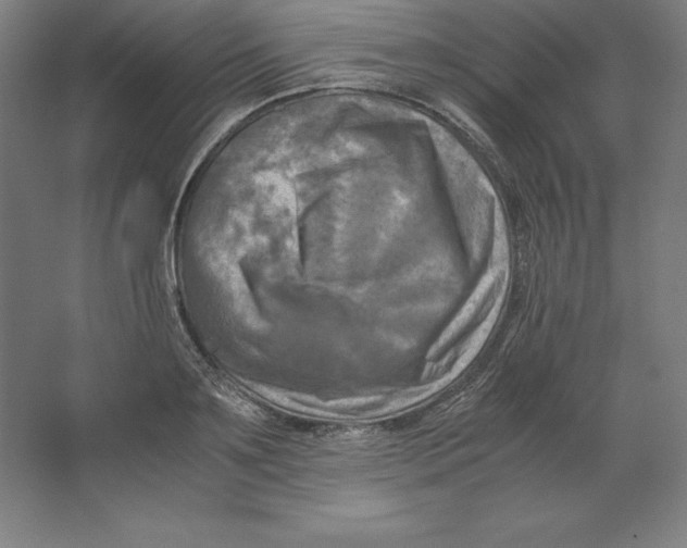 X0000062130891200512301458