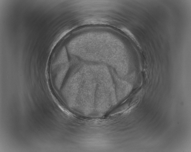 X0000062130893200512301458