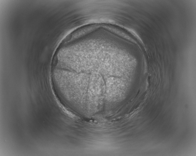 X0000062130895200512301458