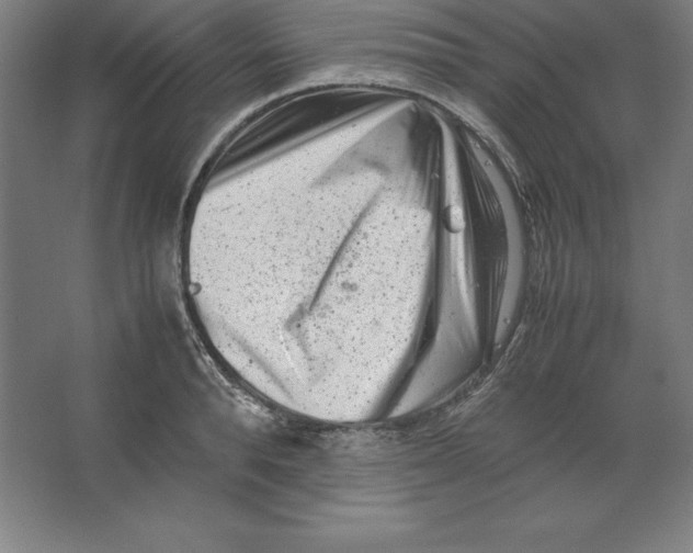 X0000062130896200512301458