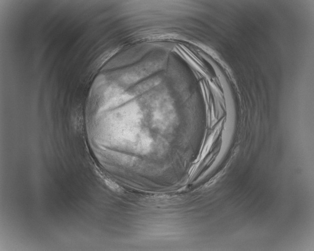 X0000062130897200512301458