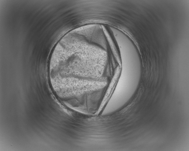 X0000062130898200512301458