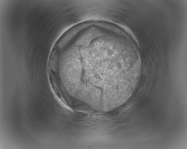 X0000062130903200512301458