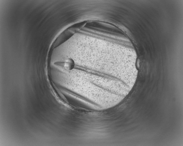 X0000062130904200512301458