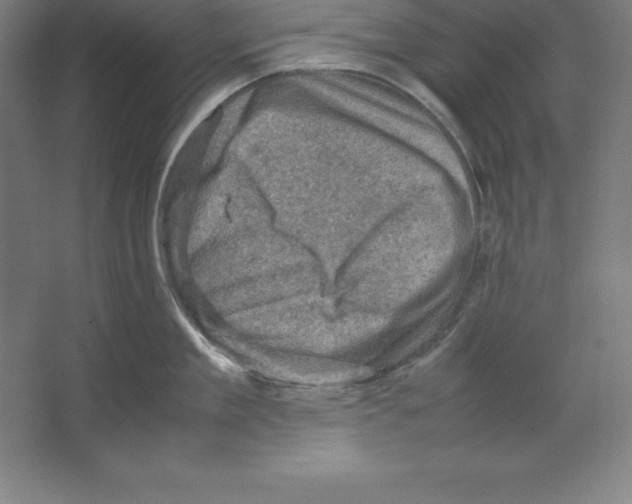 X0000062130909200512301458