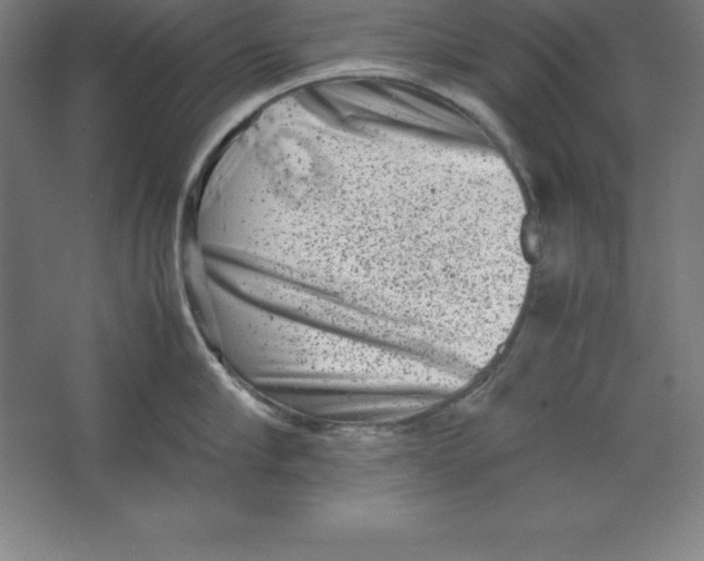 X0000062130910200512301458