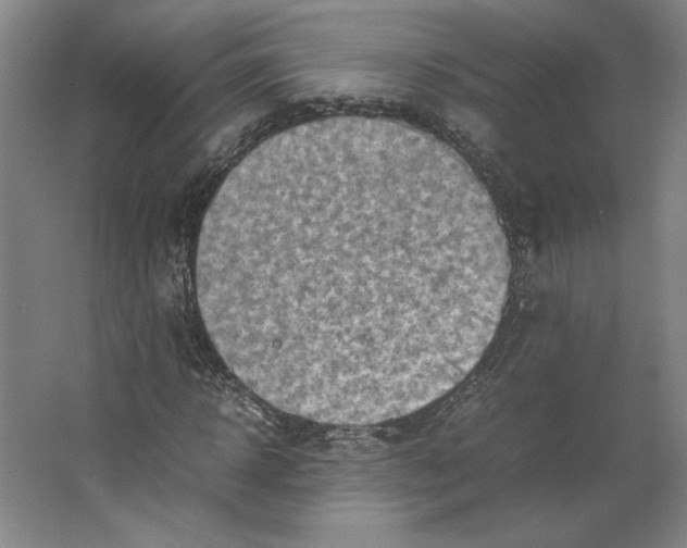 X0000062130918200512301457