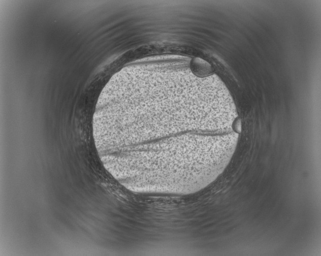 X0000062130919200512301457