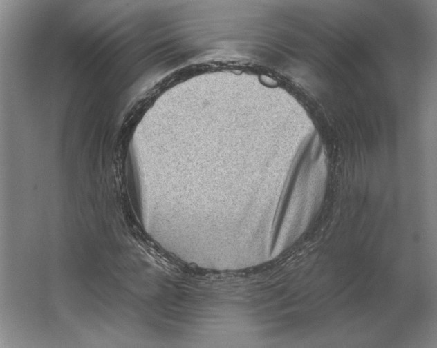 X0000062130920200512301457