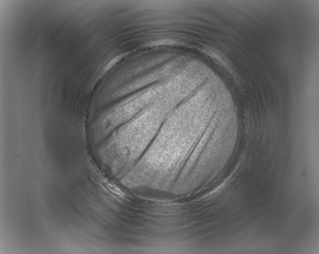 X0000062130921200512301457