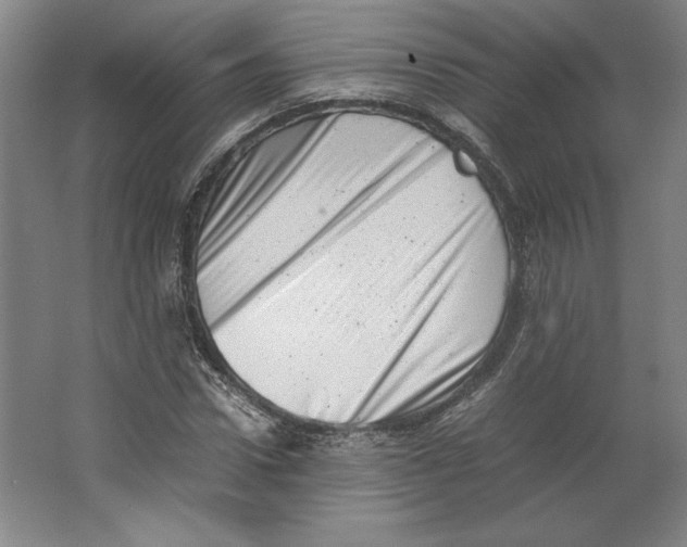 X0000062130922200512301457