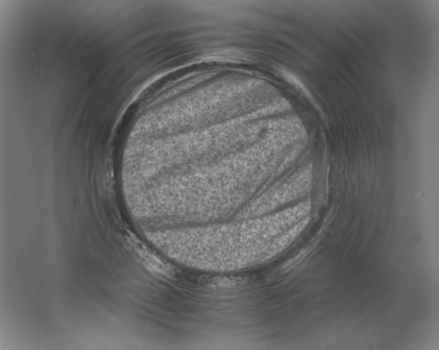 X0000062130923200512301457