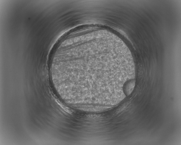 X0000062130927200512301457